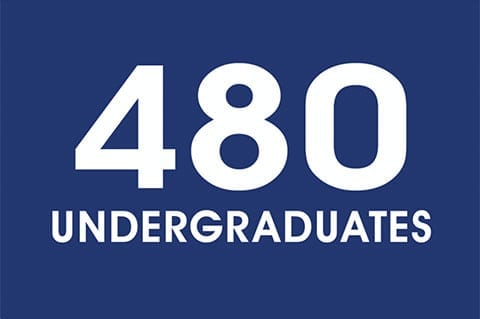 480 undergraduates