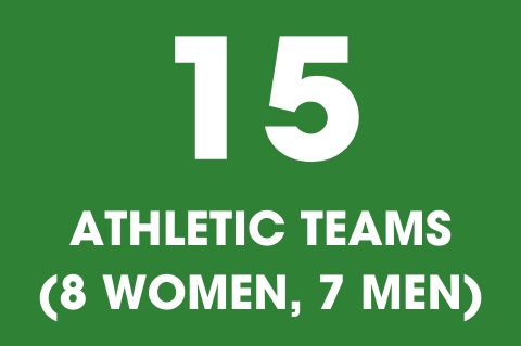 The University of Providence has 15 athletic programs, 8 womens programs and 7 men