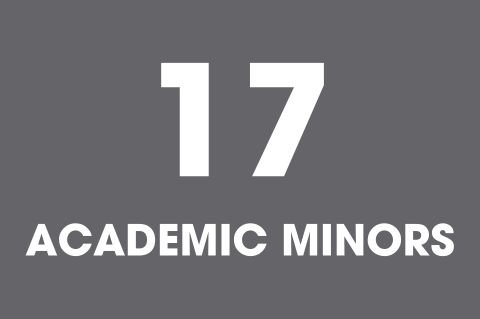 University of Providence has 17 academic minors