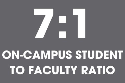 The student to faculty ratio at the University of Providence is 12
