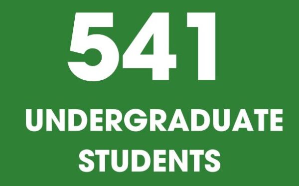 University of Providence has 541 undergraduate students